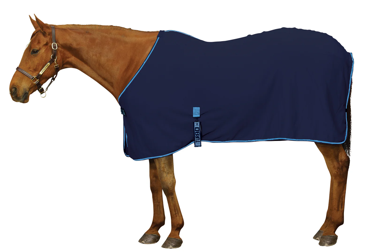 Centaur® Turbo-Dry™ Sheet - Image 3