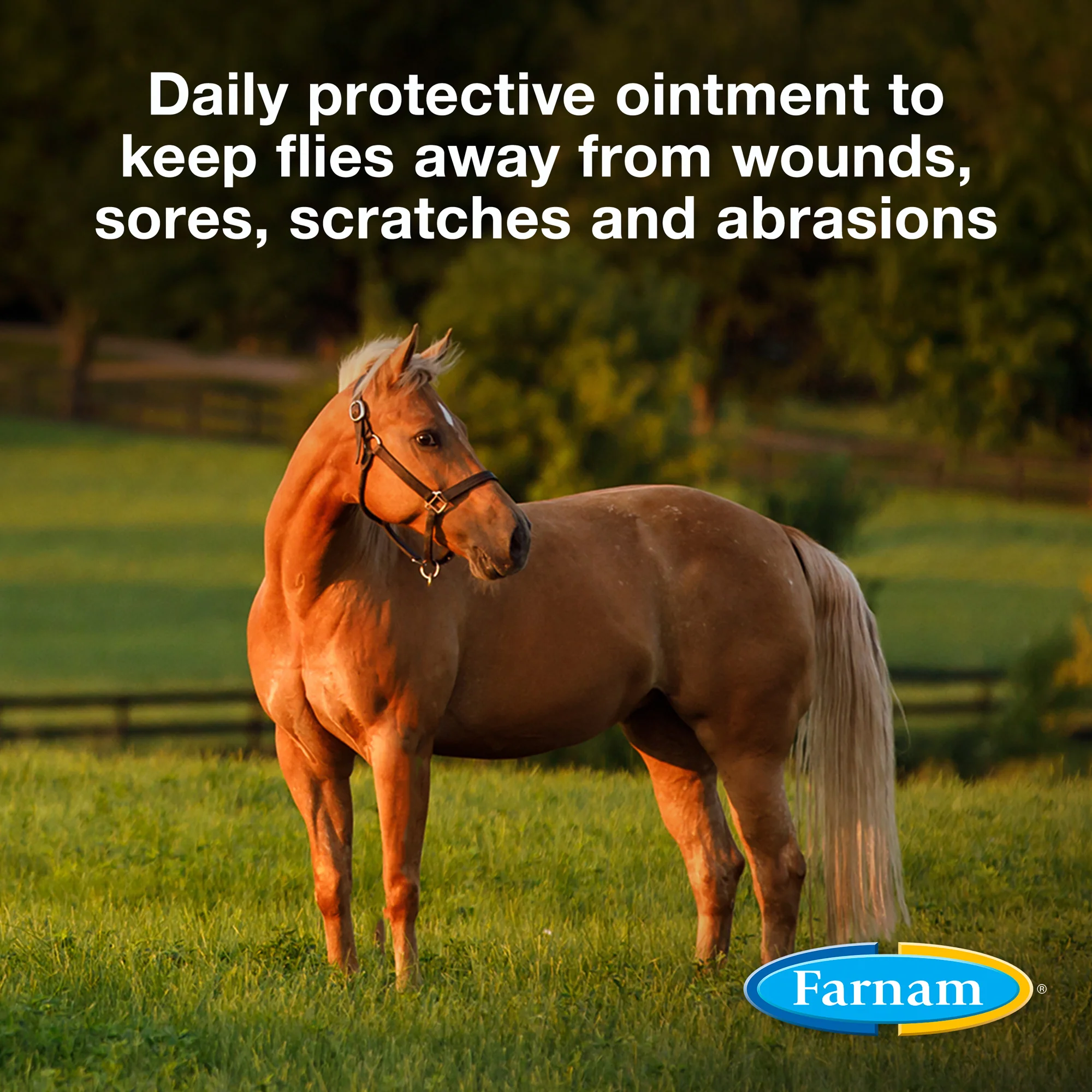 Farnam® Swat® Clear Fly Repellent Ointment - Image 4