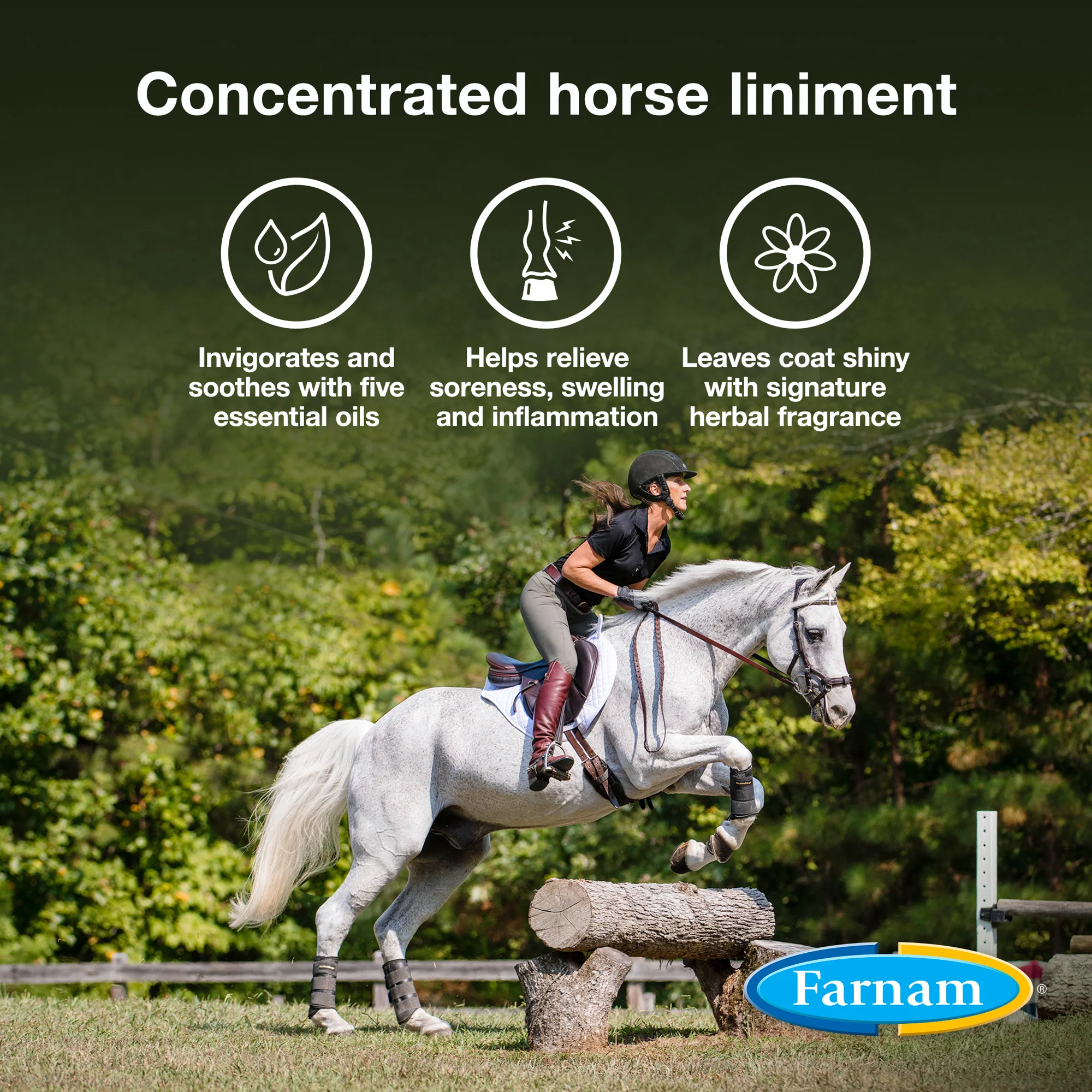 Farnam® Vetrolin® Liniment - Image 4
