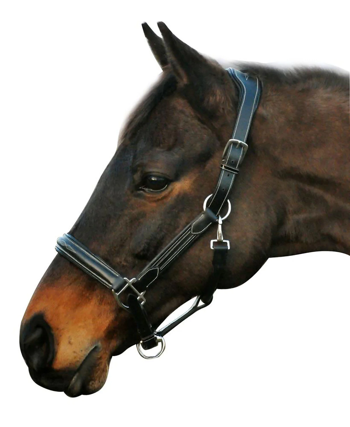 Henri de Rivel Stress Free Halter with Fancy Contrast Stitching - Image 4