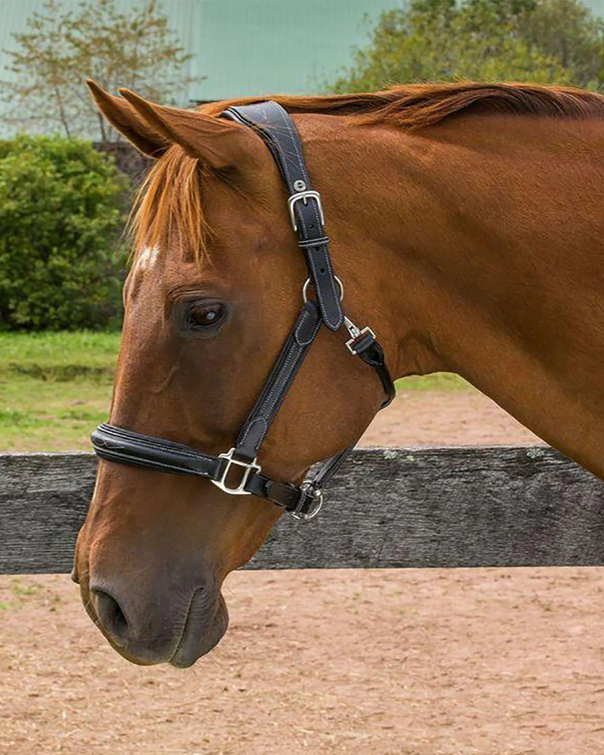 Henri de Rivel Stress Free Halter with Fancy Contrast Stitching - Image 7