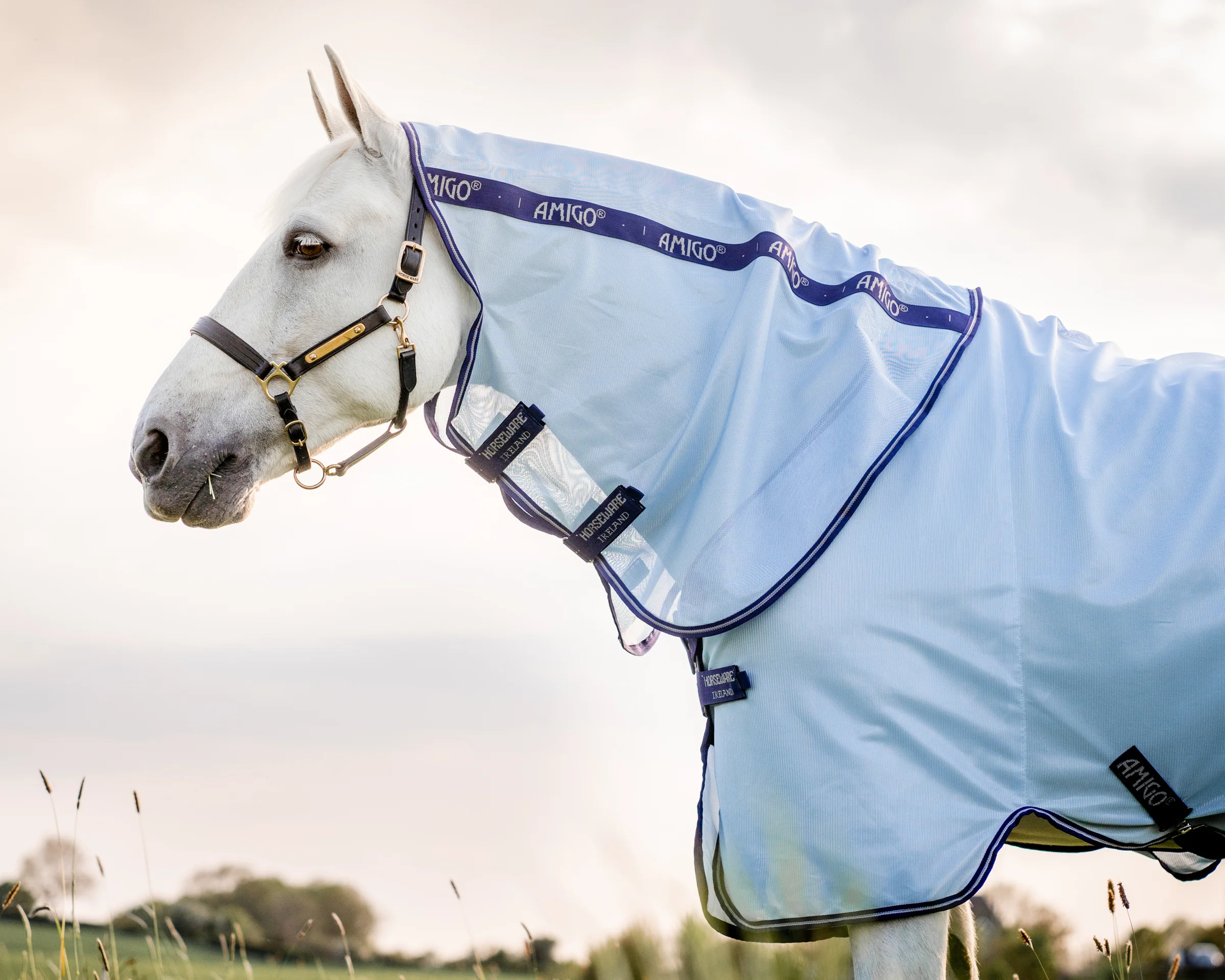 Horseware® Amigo® XL Bug Rug - Image 3