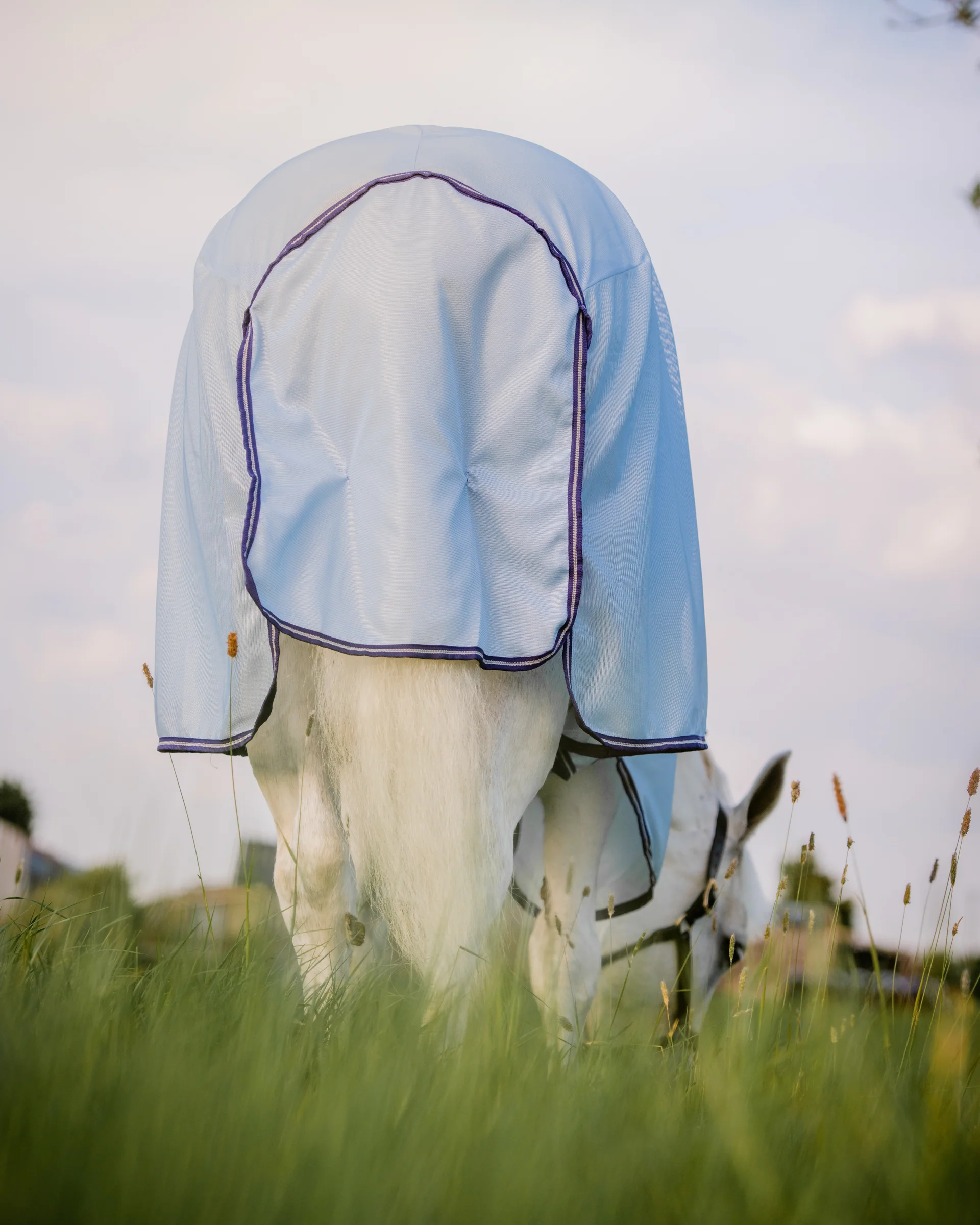 Horseware® Amigo® XL Bug Rug - Image 4