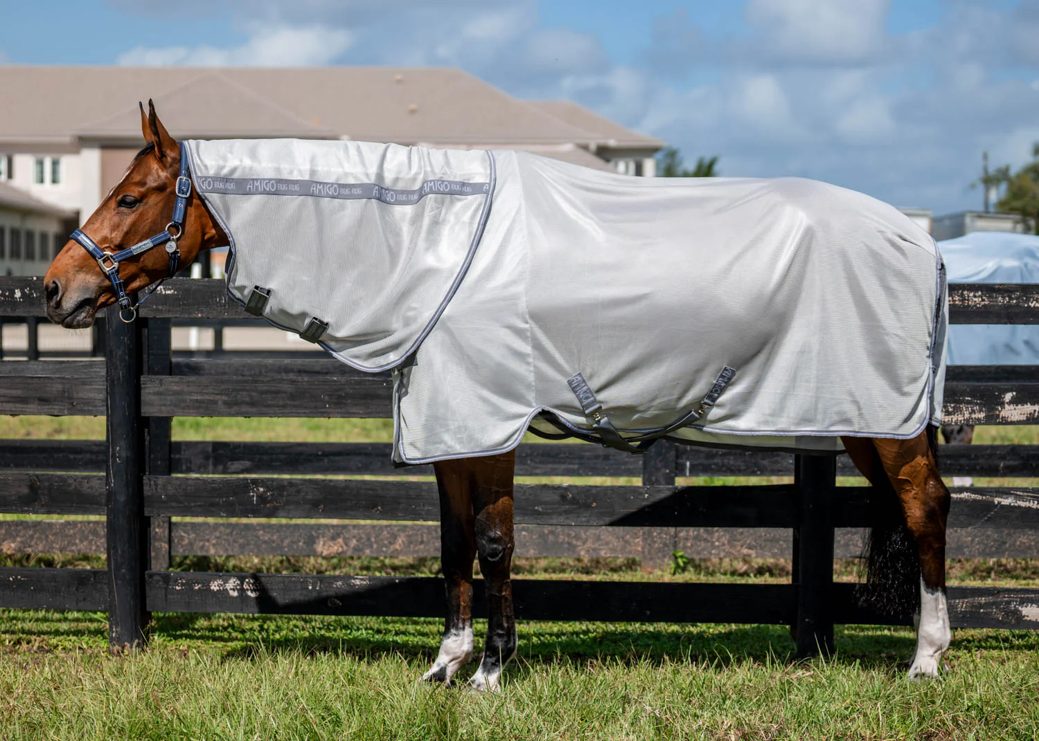 Horseware® Ireland Amigo® Bug Rug Plus Fly Sheet - Image 11