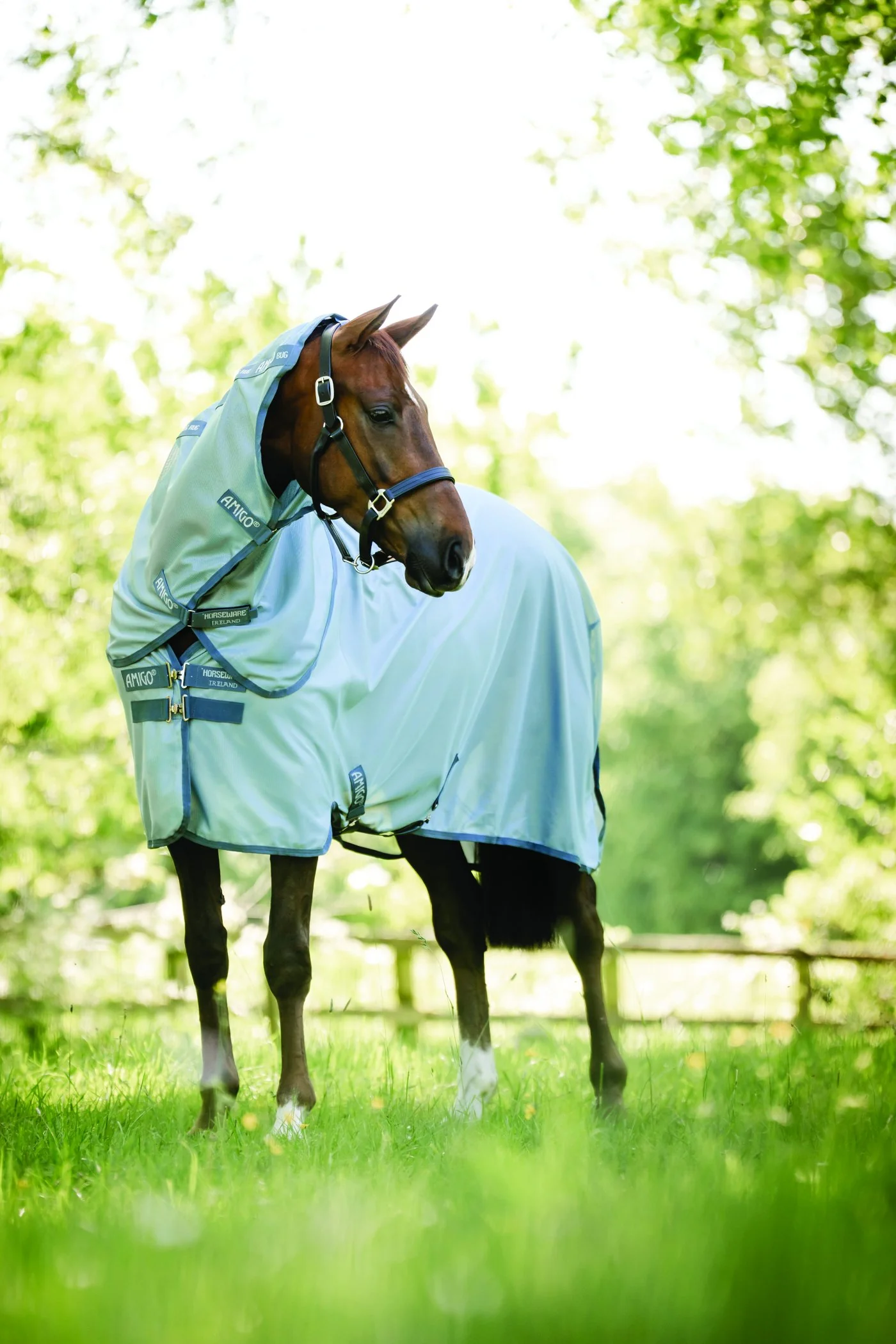 Horseware® Ireland Amigo® Bug Rug Plus Fly Sheet - Image 7