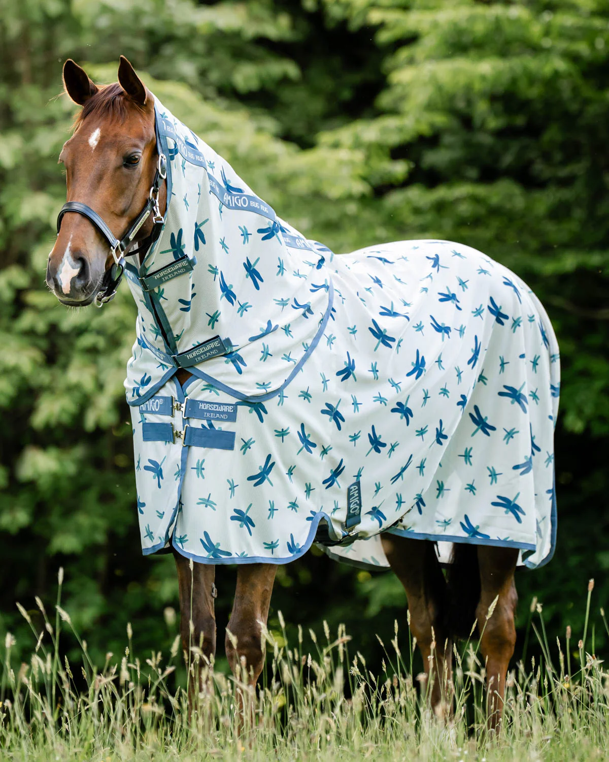 Horseware® Ireland Amigo® Bug Rug Plus Fly Sheet - Image 9