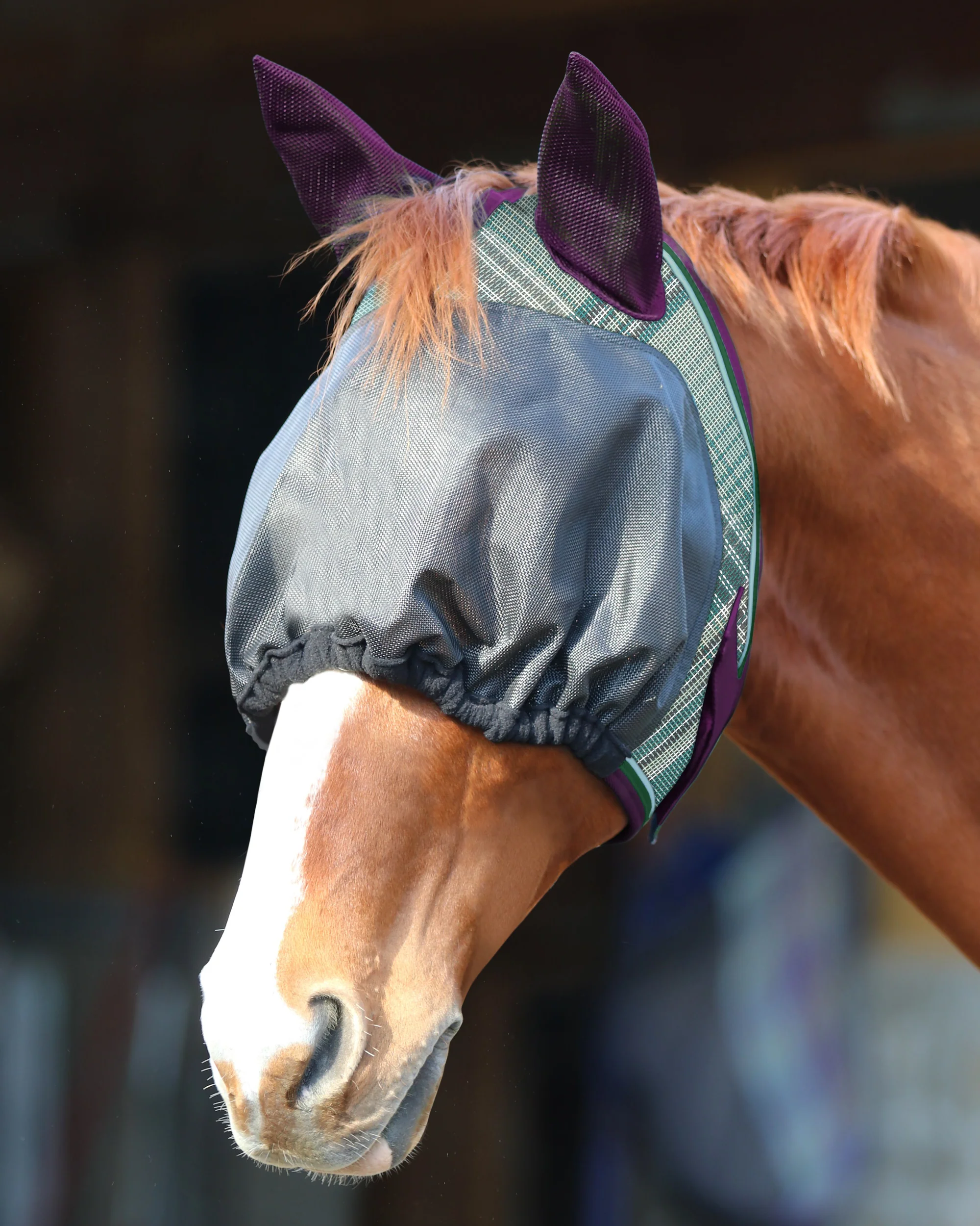 Kensington™ UViator Dartless Fly Mask with Web Trim, Soft Ears & Forelock Opening - Image 4