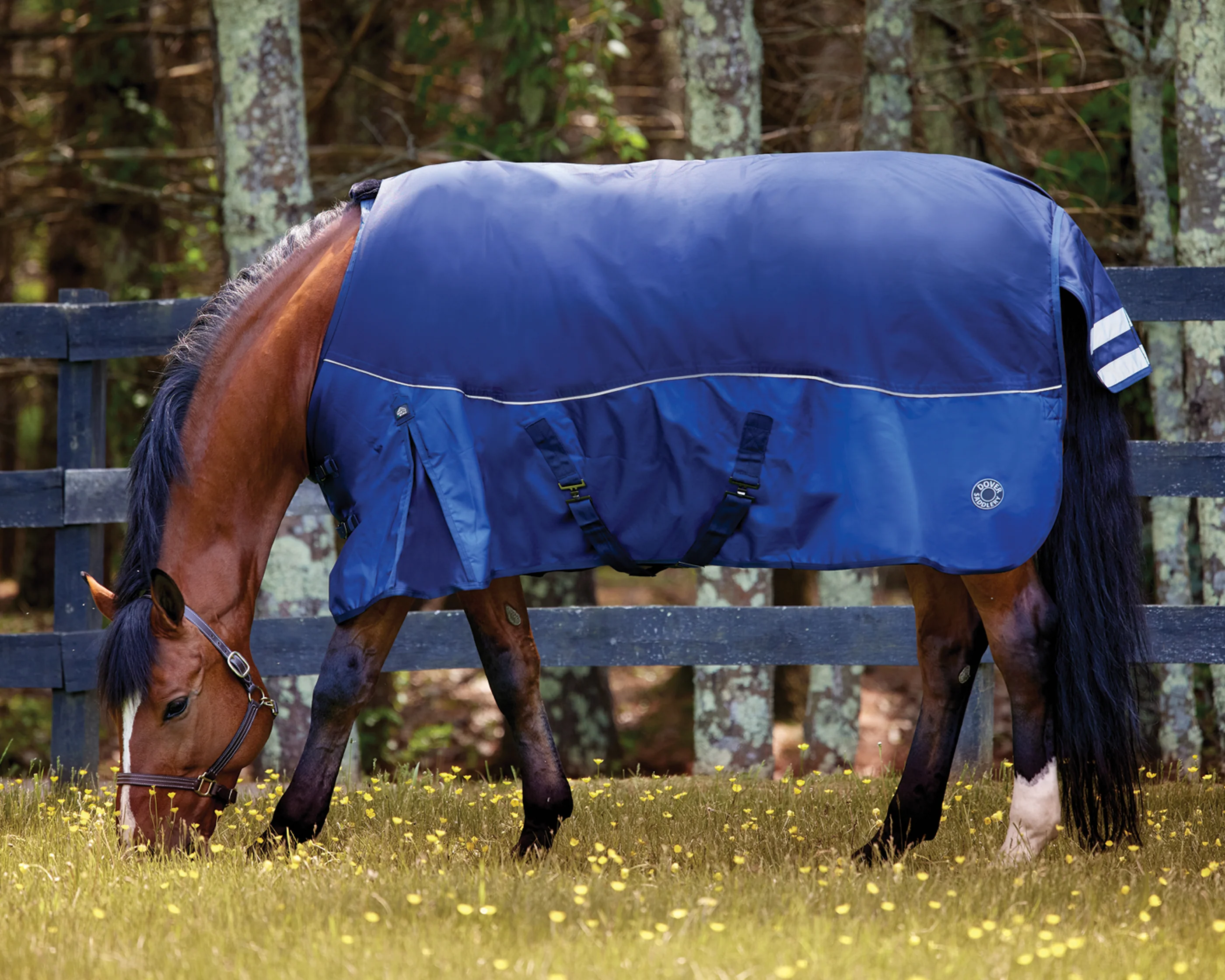 NorthWind™ Heavyweight Turnout Blanket - Image 4