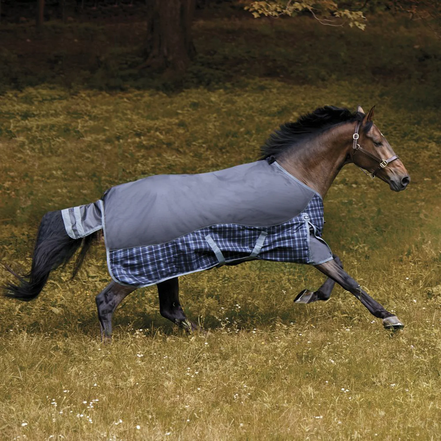 NorthWind™ Heavyweight Turnout Blanket - Image 6