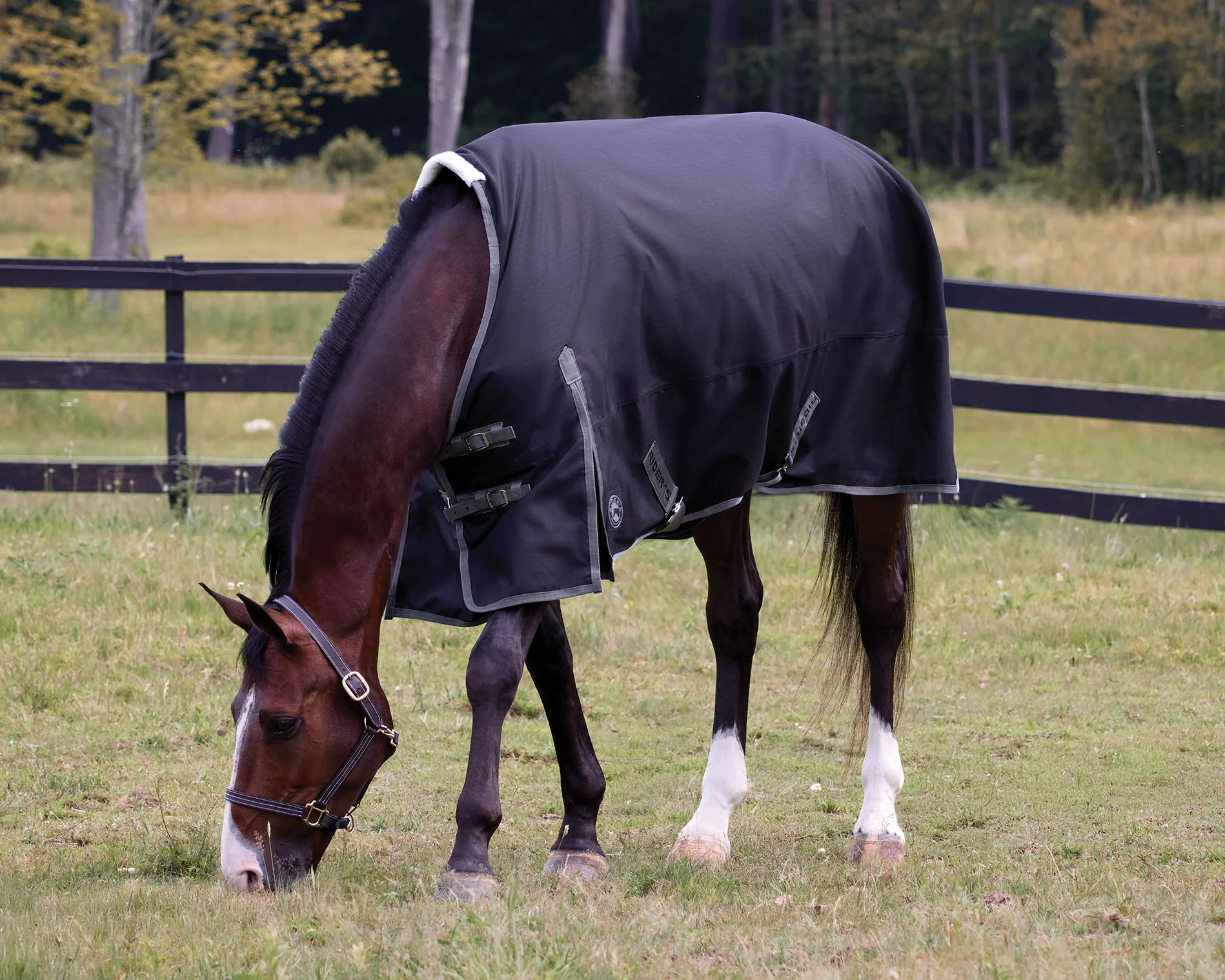 Rider’s International™ Supreme 100 Gram Turnout Blanket - Image 4