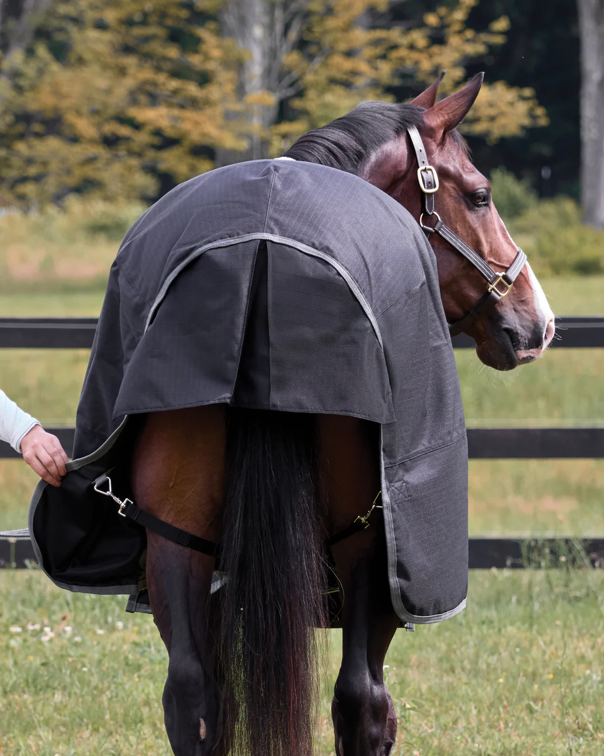 Rider’s International™ Supreme 100 Gram Turnout Blanket - Image 5