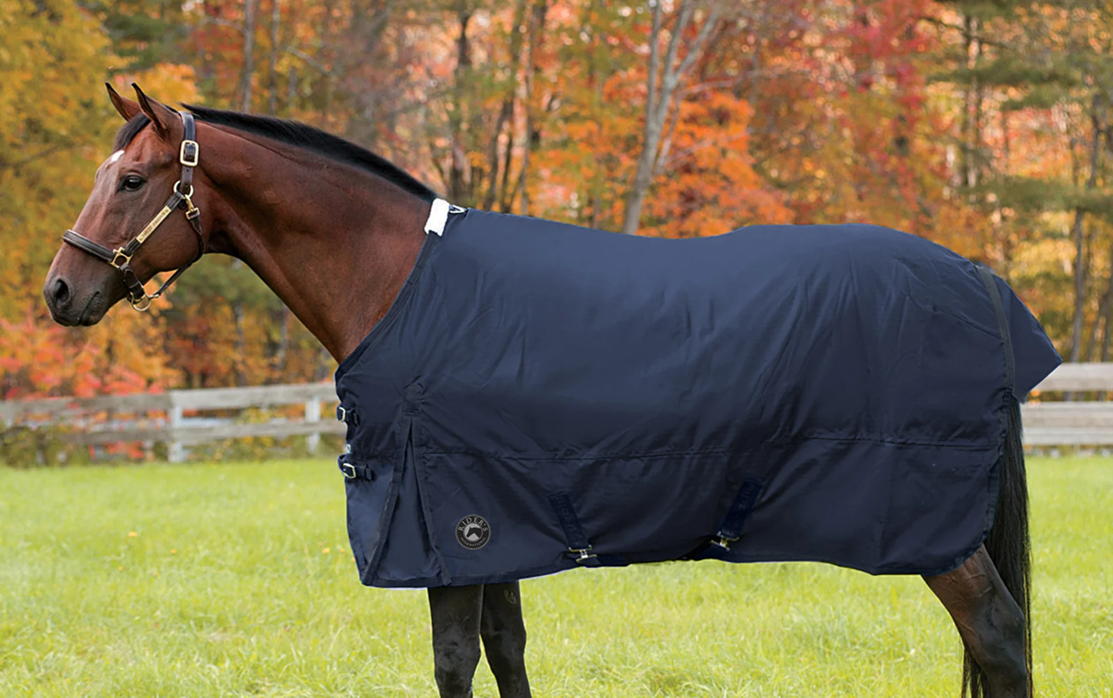 Rider’s International™ Supreme Medium-Weight Turnout Blanket - Image 3