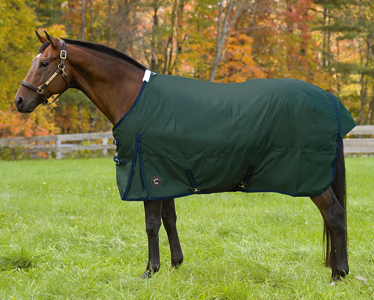 Rider’s International™ Supreme Medium-Weight Turnout Blanket - Image 6