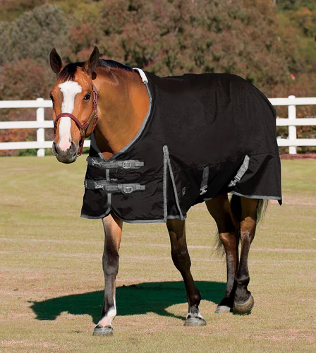 Rider’s International™ Supreme Turnout Sheet - Image 3