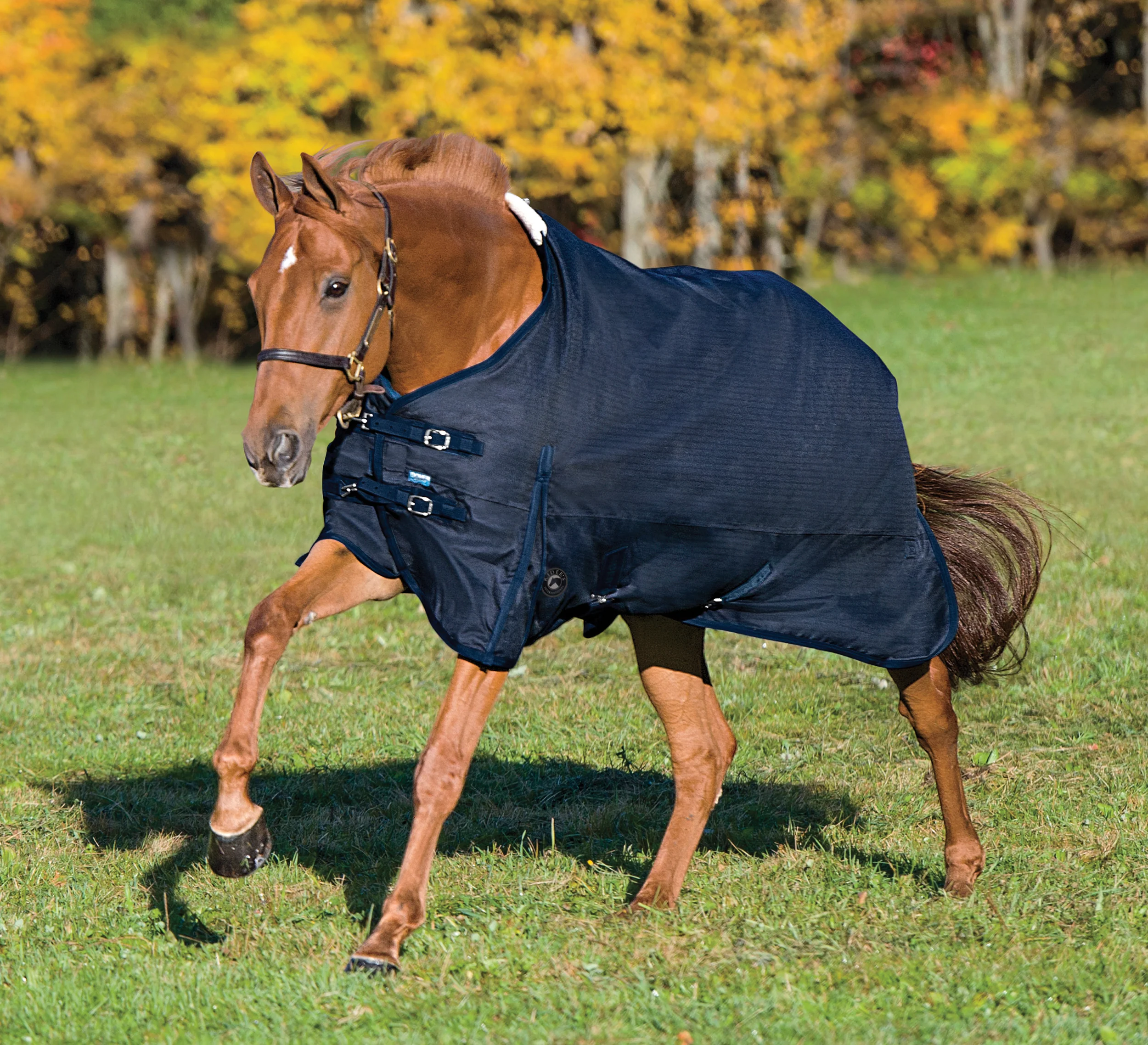 Rider’s International™ Supreme Turnout Sheet - Image 9