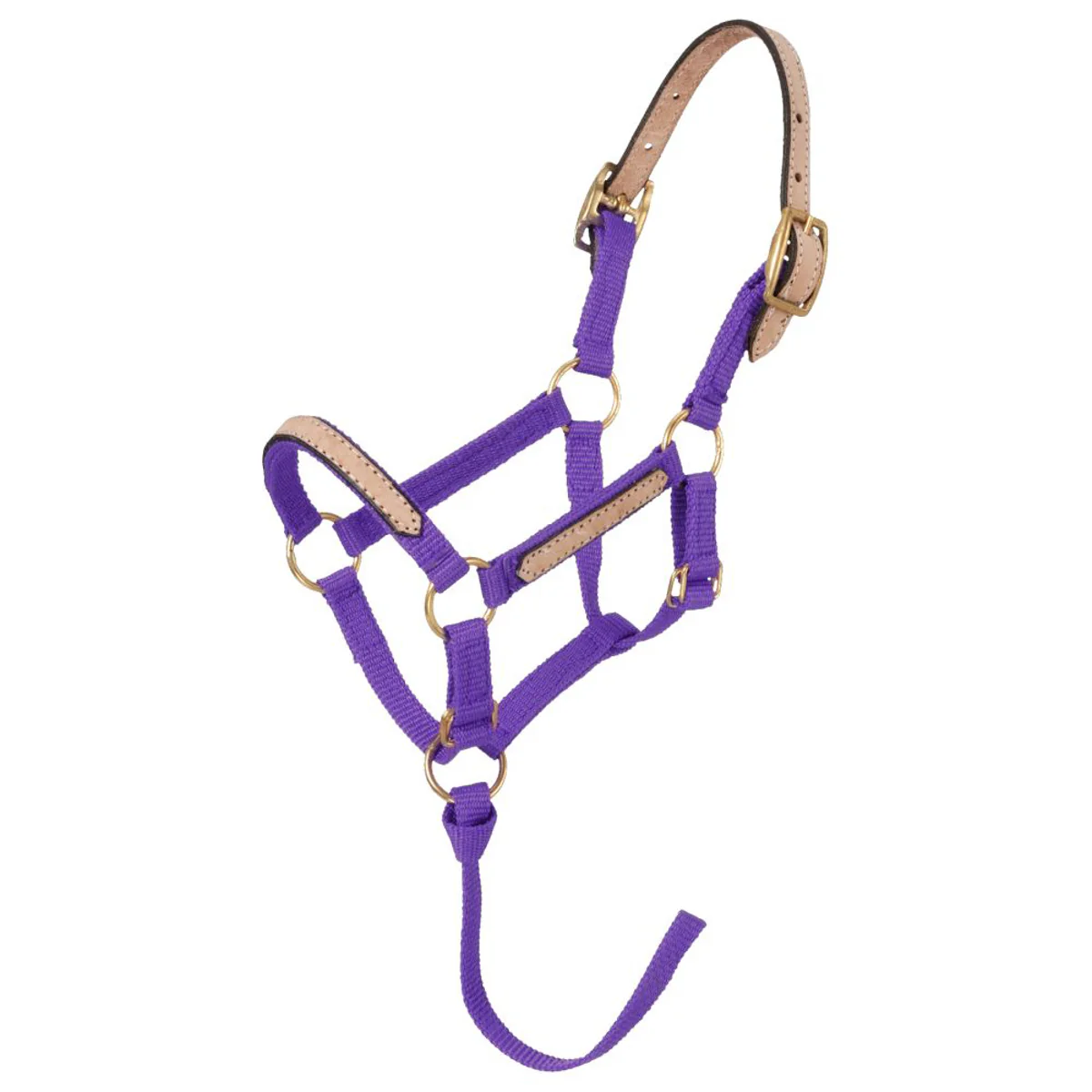 Tough1® Miniature Nylon Breakaway Halter - Image 7