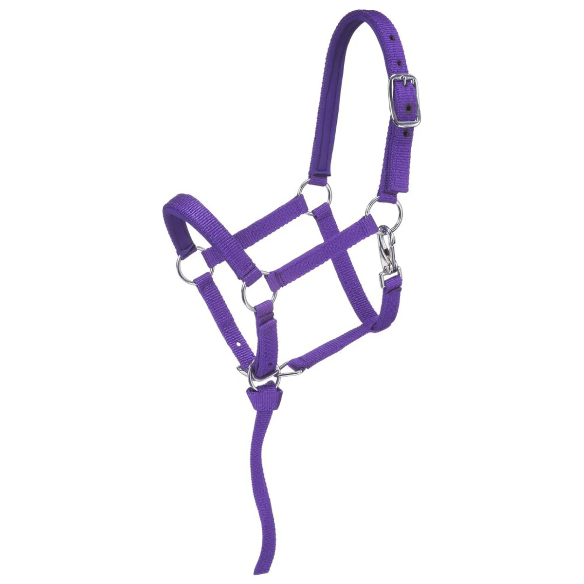 Tough1® Miniature Nylon Padded Halter - Image 5