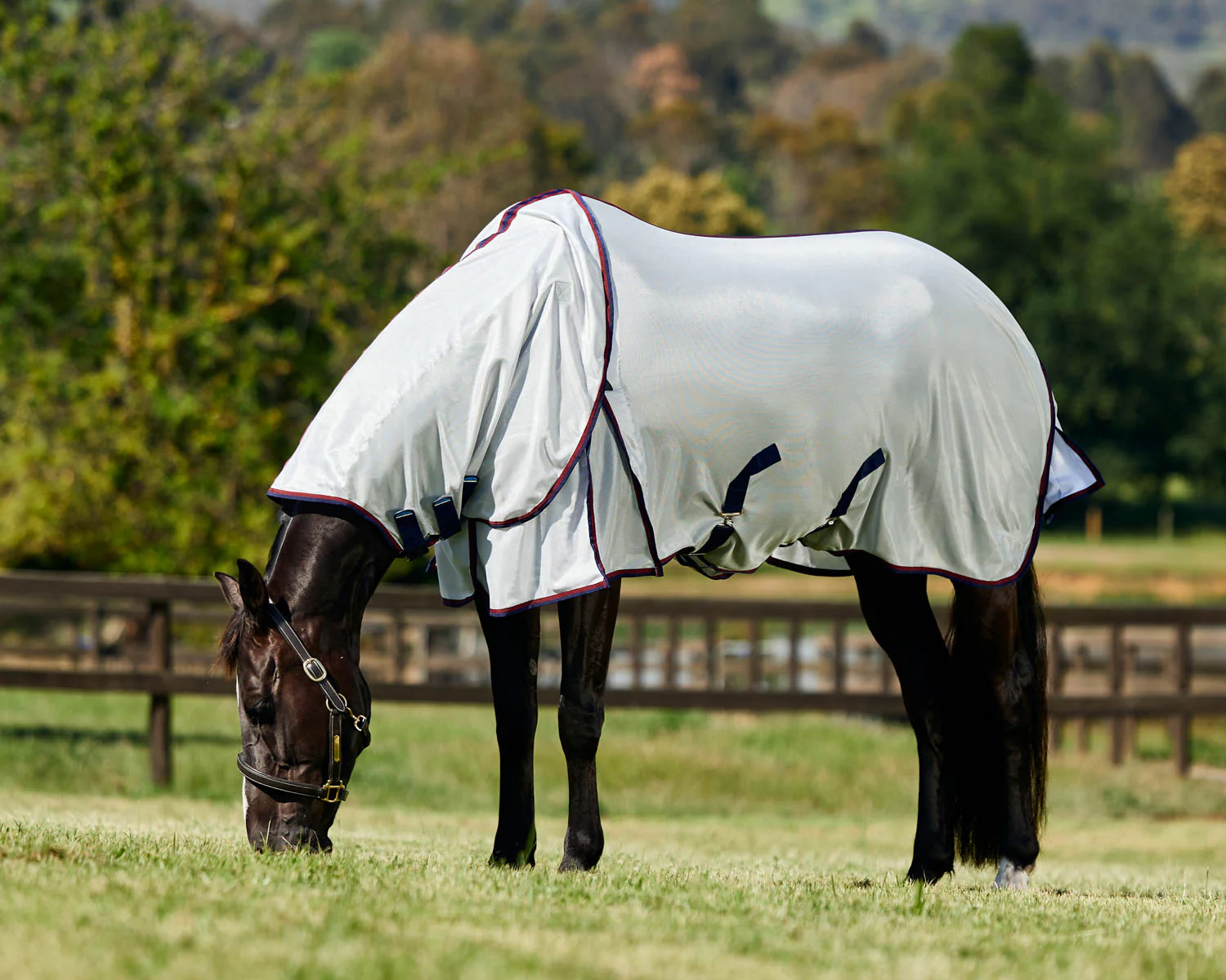 WeatherBeeta® ComFiTec™ Airflow Fly Sheet Detach-A-Neck - Image 6