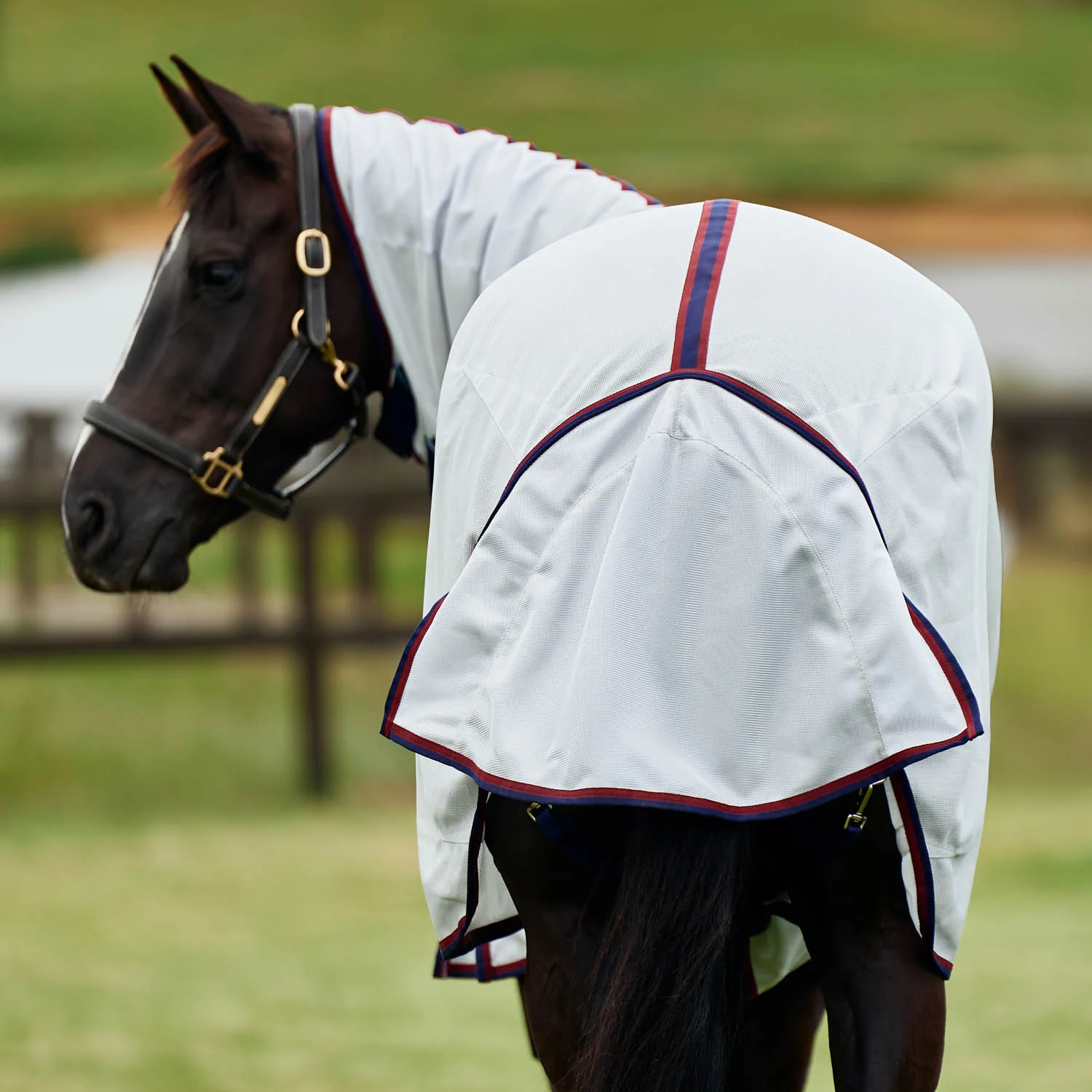 WeatherBeeta® ComFiTec™ Airflow Fly Sheet Detach-A-Neck - Image 7