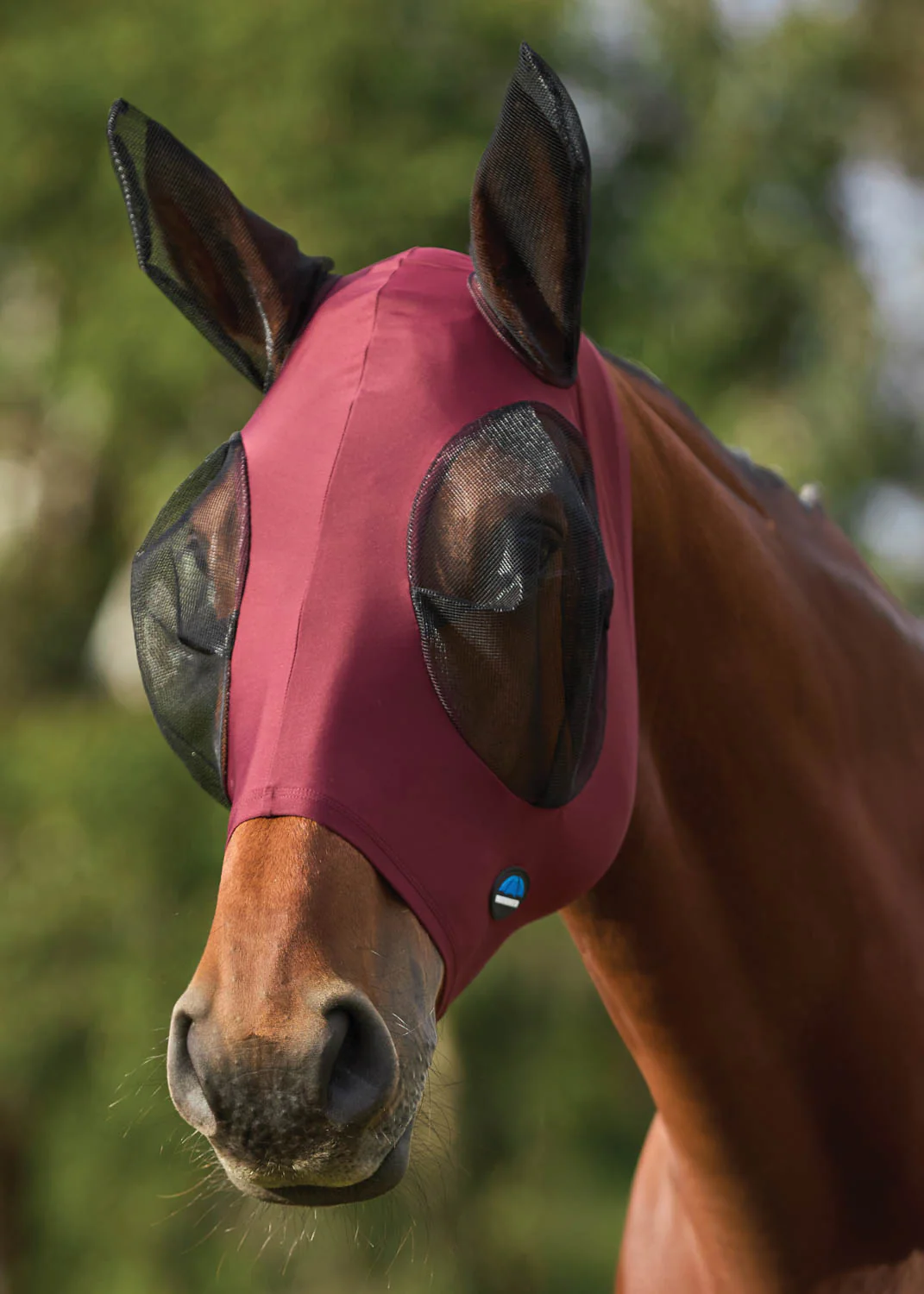 Weatherbeeta® Comfitec™ Deluxe Stretch  Fly Mask - Image 4