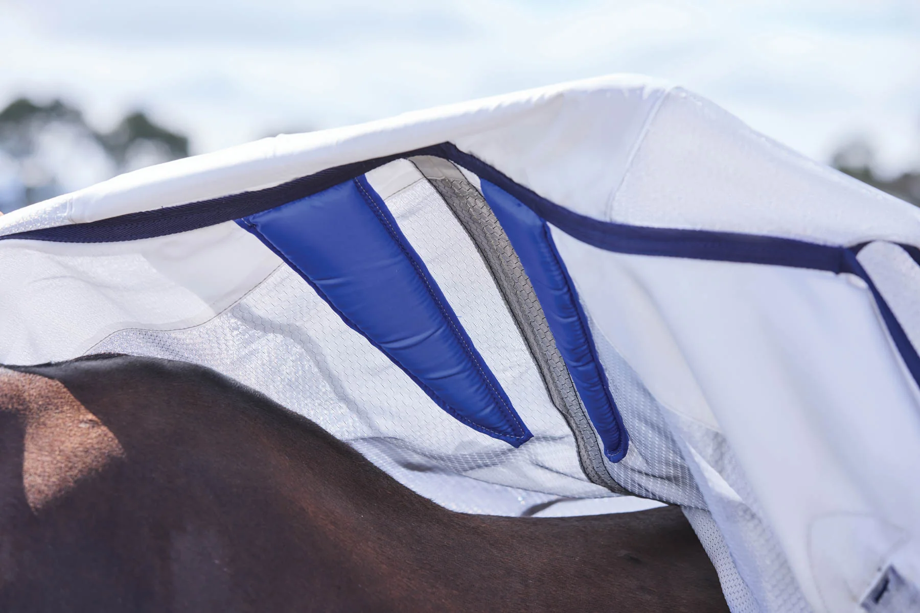 WeatherBeeta® ComFiTec™ Hexi Shield Fly Sheet Combo - Image 6