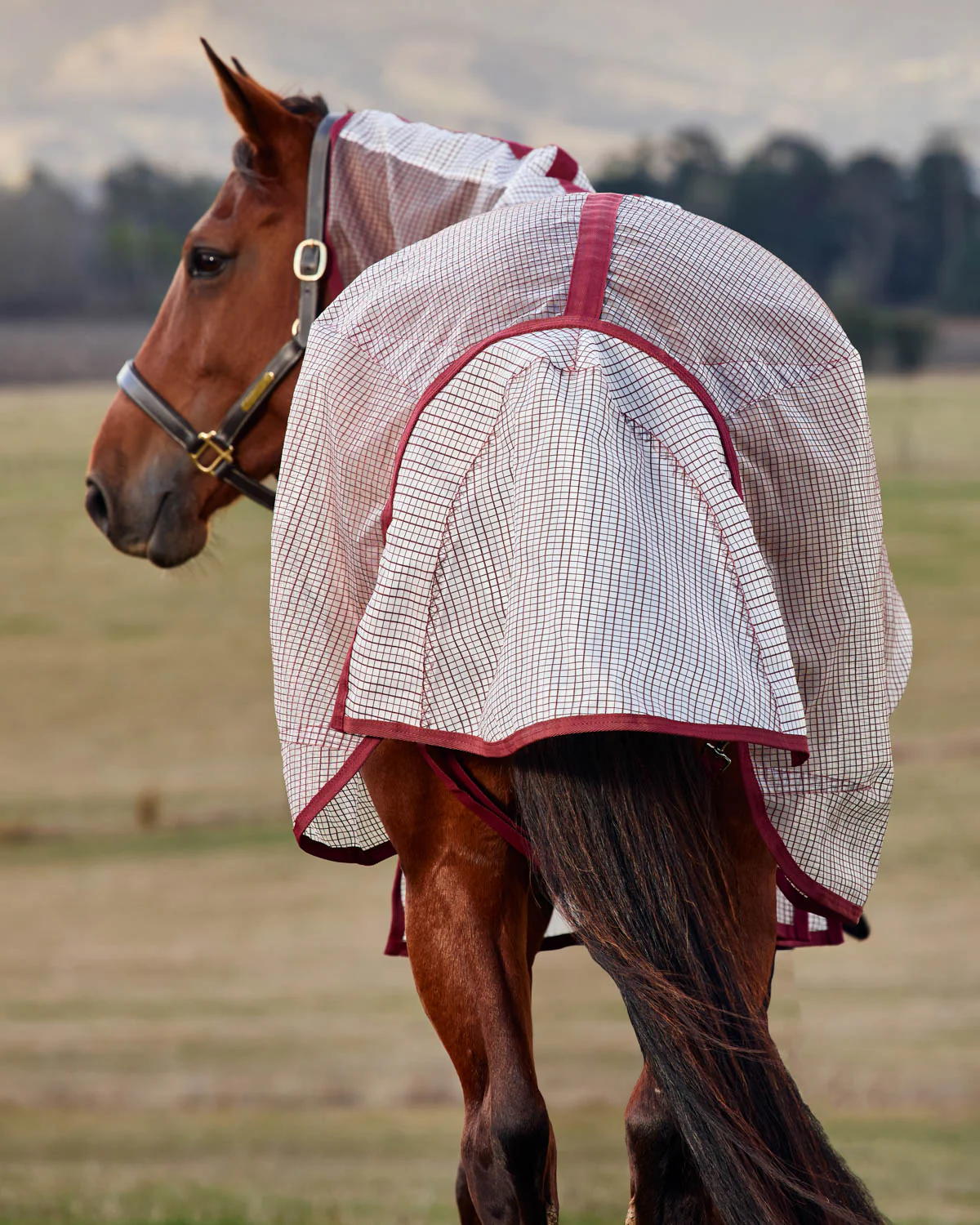 WeatherBeeta® ComFiTec™ Ripshield Detach-A-Neck Fly Sheet - Image 3