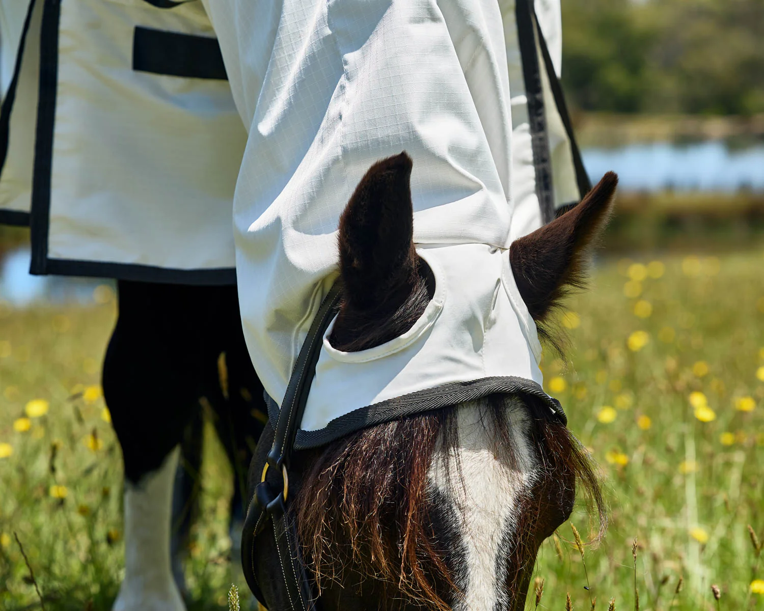 WeatherBeeta™ ComFiTec™ Sweet Itch Shield Fly Sheet Combo - Image 3