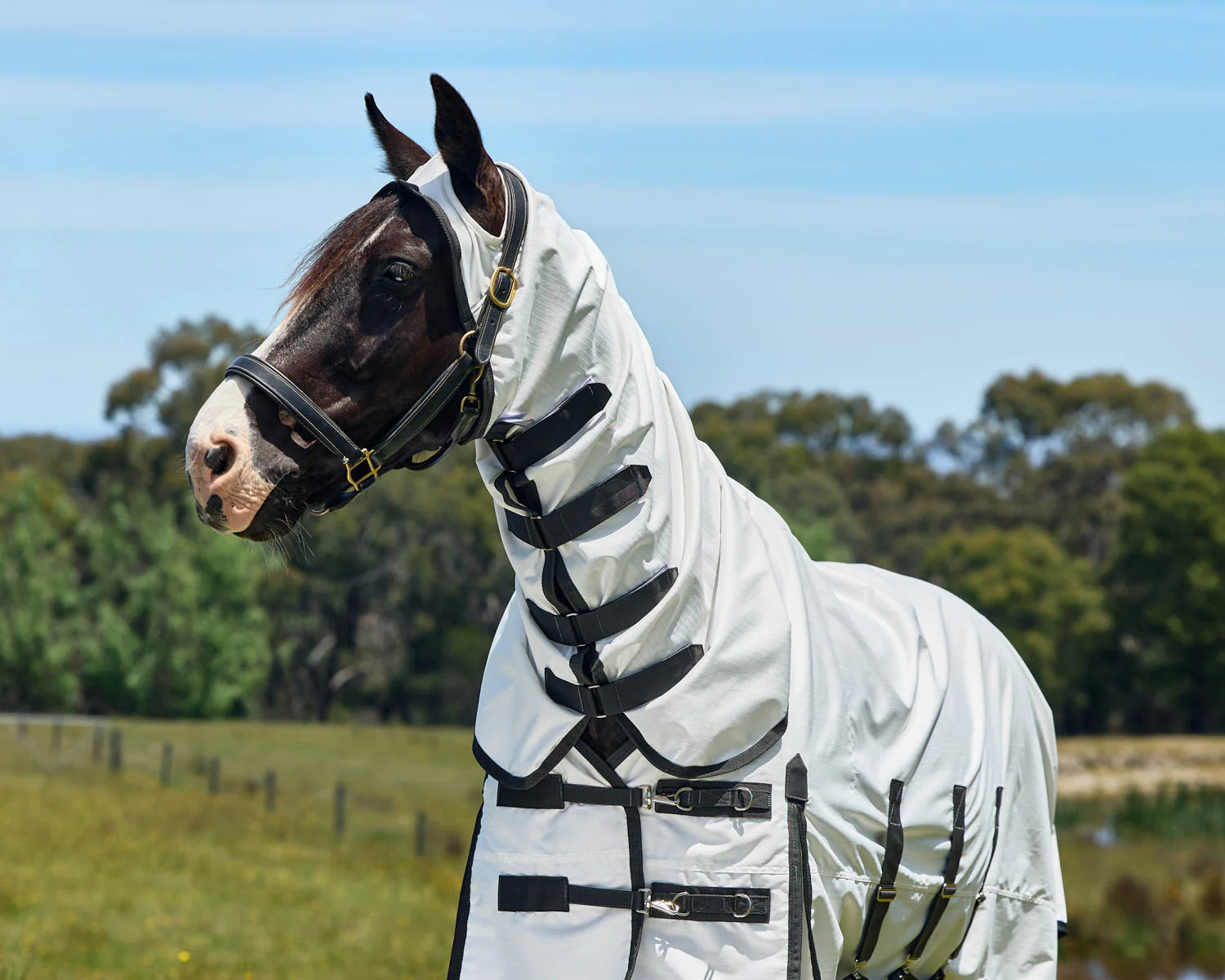 WeatherBeeta™ ComFiTec™ Sweet Itch Shield Fly Sheet Combo - Image 4