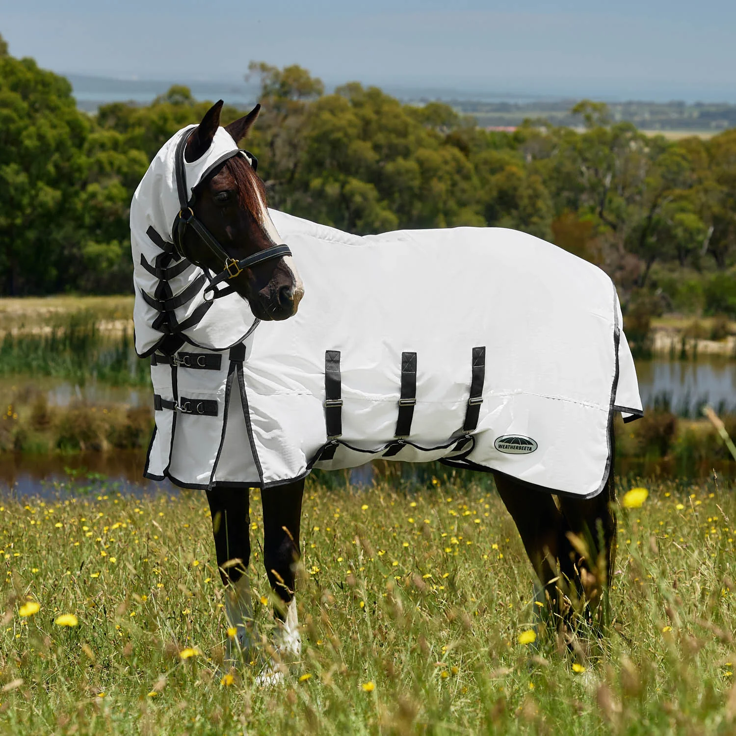 WeatherBeeta™ ComFiTec™ Sweet Itch Shield Fly Sheet Combo - Image 5