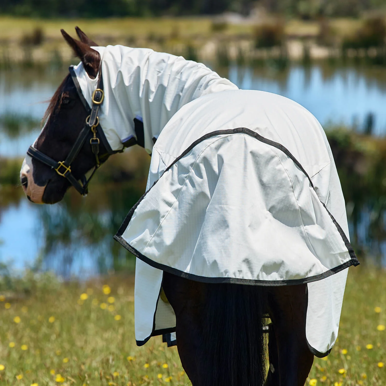 WeatherBeeta™ ComFiTec™ Sweet Itch Shield Fly Sheet Combo - Image 6