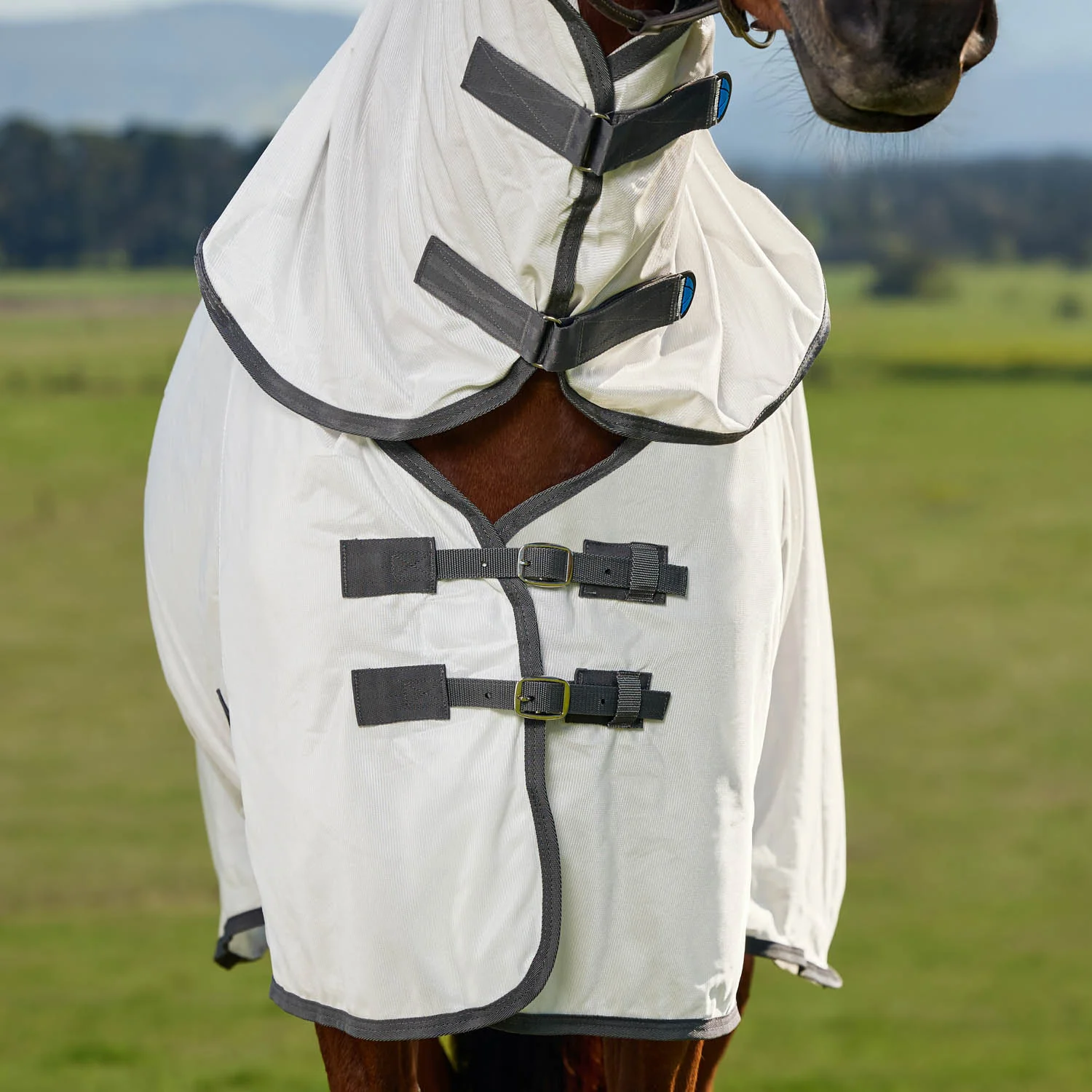 WeatherBeeta® ComFiTec™ Tyro Fly Sheet Combo - Image 3