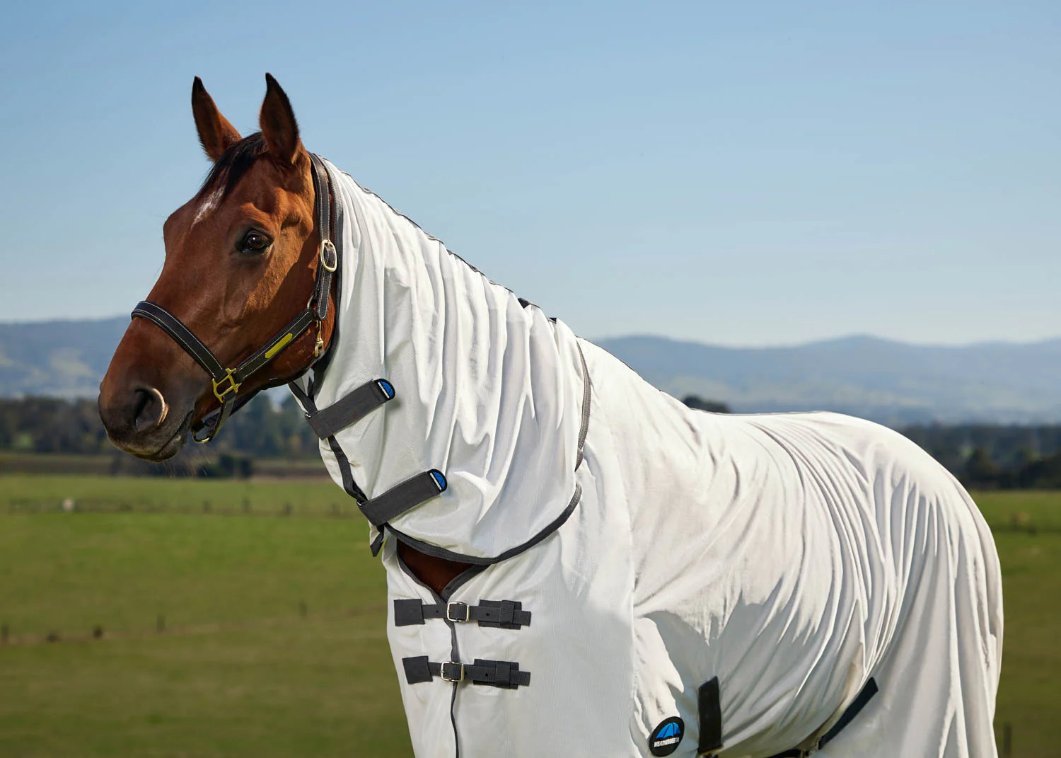 WeatherBeeta® ComFiTec™ Tyro Fly Sheet Combo - Image 5