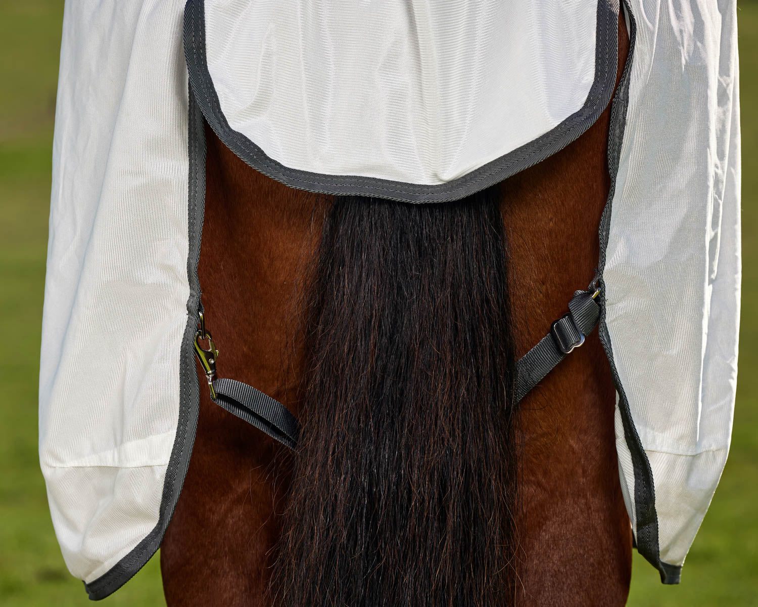 WeatherBeeta® ComFiTec™ Tyro Fly Sheet Combo - Image 7