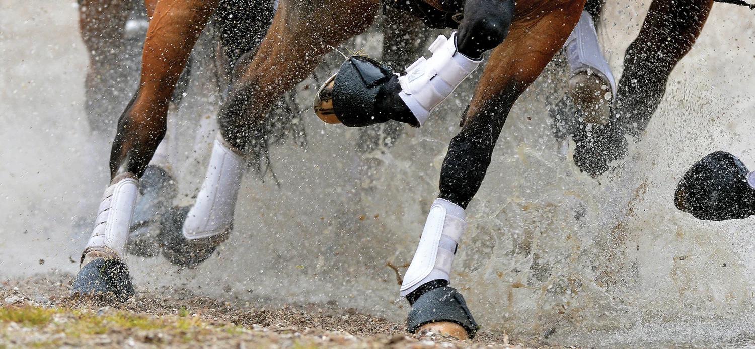 Woof Wear All-Purpose Boots - Image 6